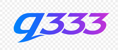 q333 logo